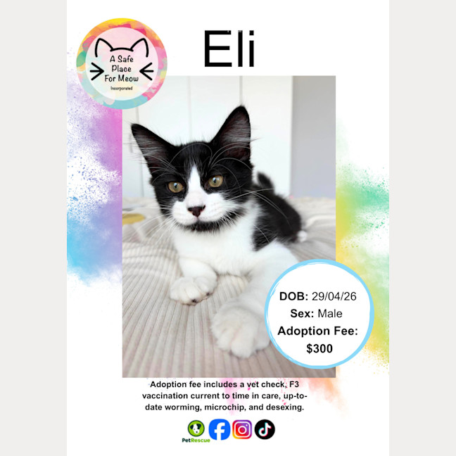 Photo of Eli