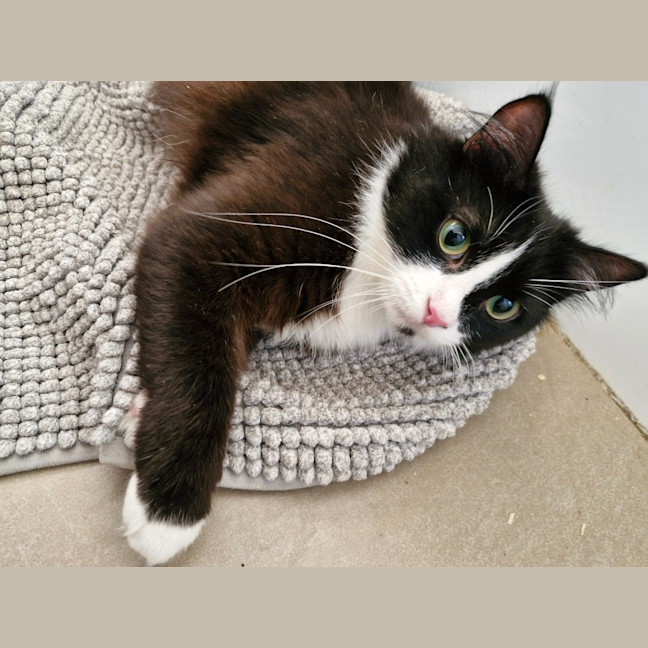Photo of Betsy