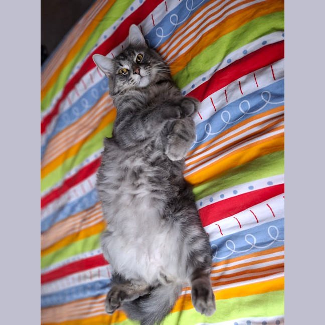 Photo of Leonardo