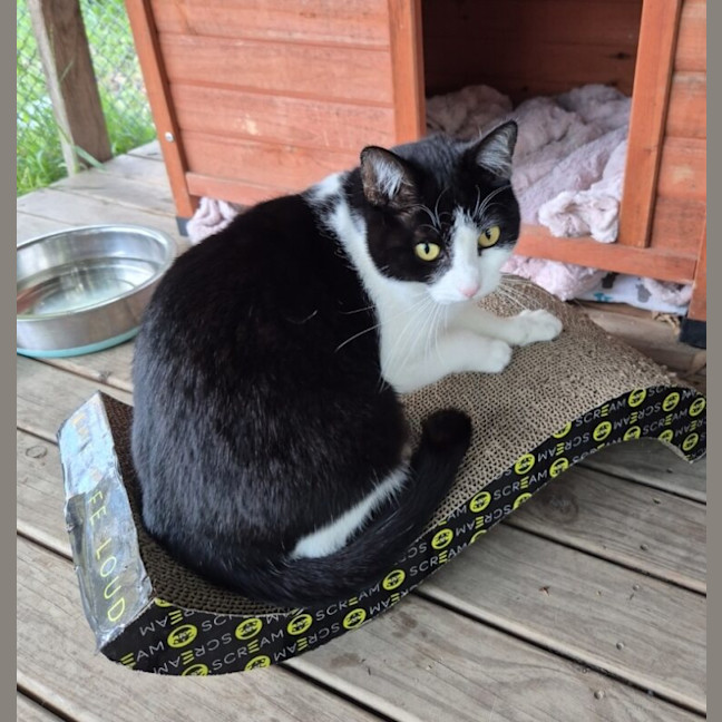 Photo of Molly
