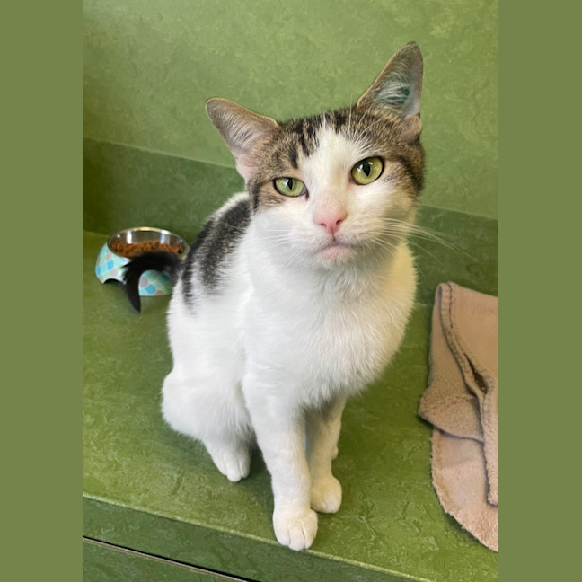 Photo of Princess Charlotte