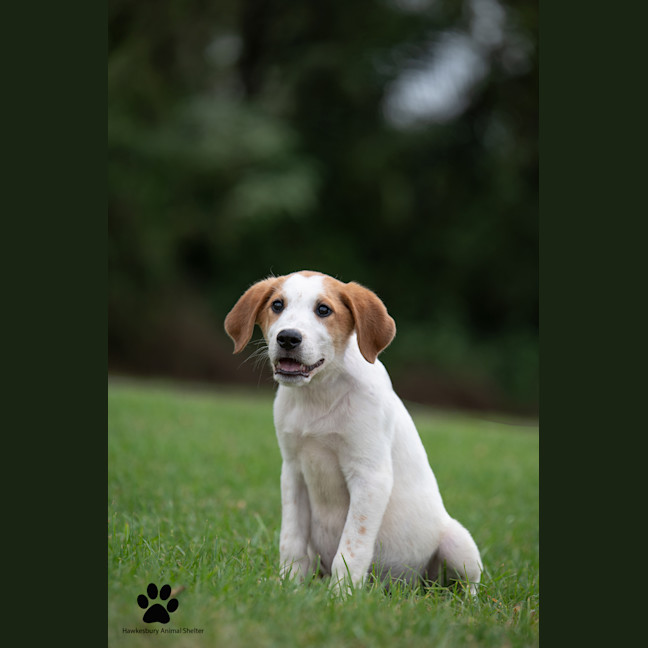 Photo of Charlie