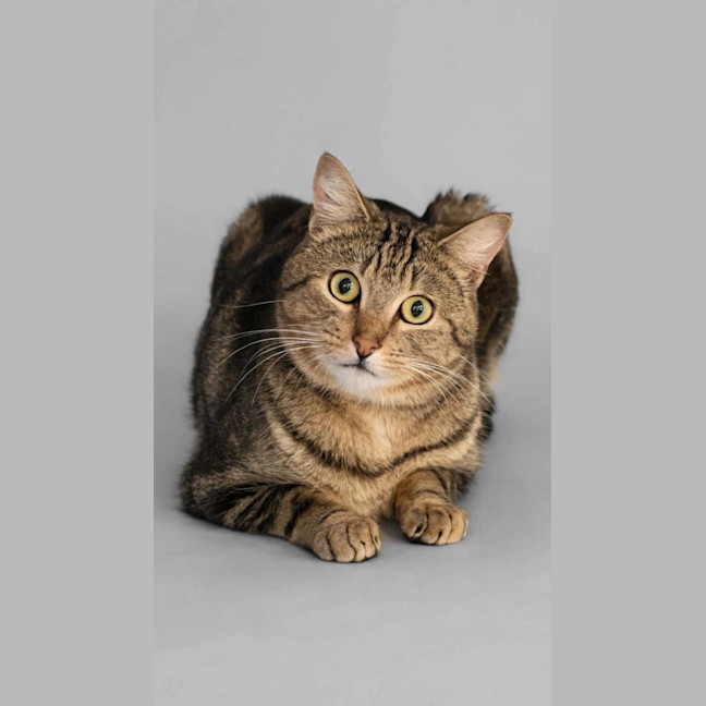 Photo of Captain 