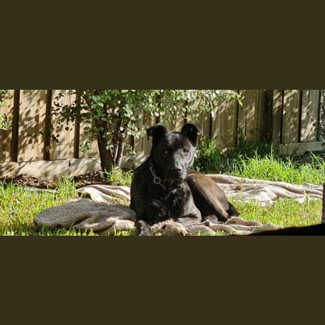 Photo of Percy