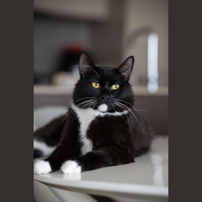 Photo of Daddy Mikey 