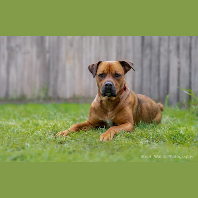 Photo of Skye Peggotty