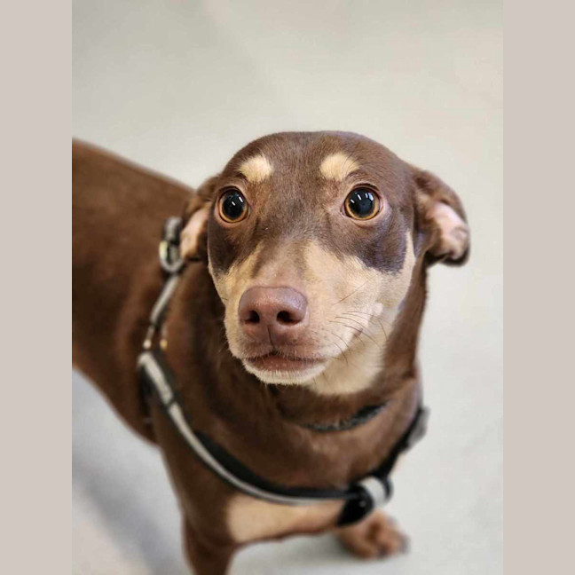 Photo of 🥨 Hilde 5390 🥨