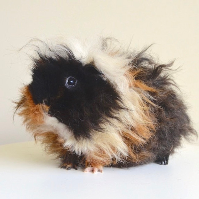 Photo of Miss Mumbles