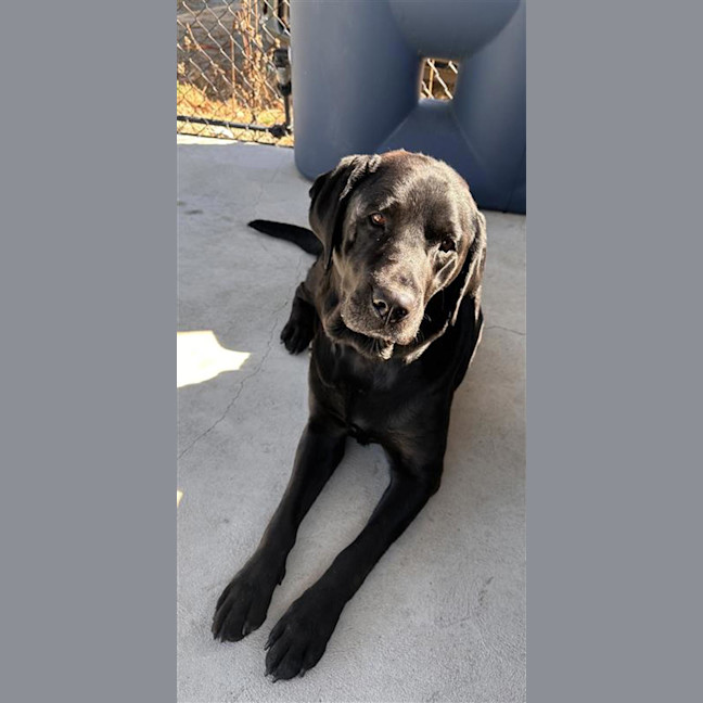 Photo of Storm