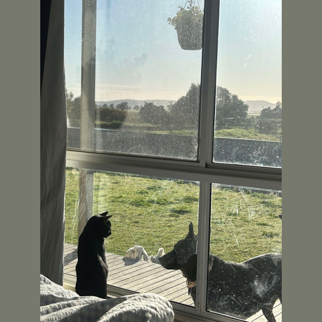 Photo of Violet And Prickle