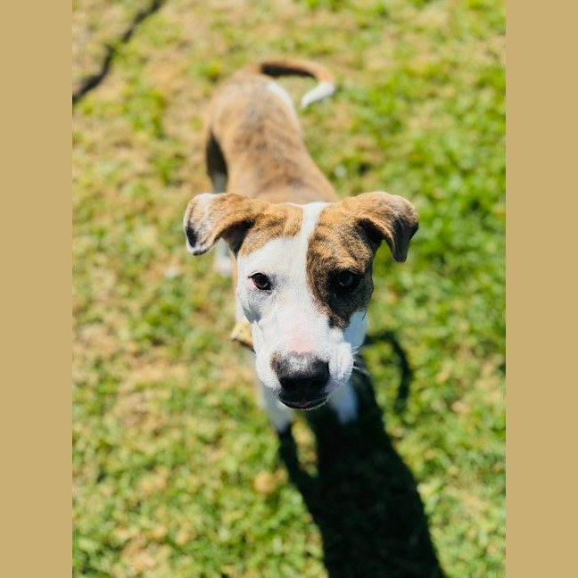 Photo of Addie