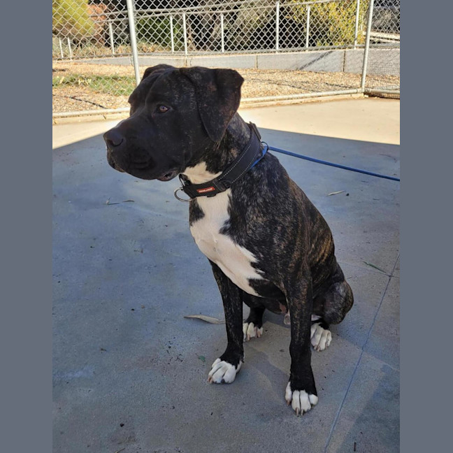 Photo of Mickey Cash