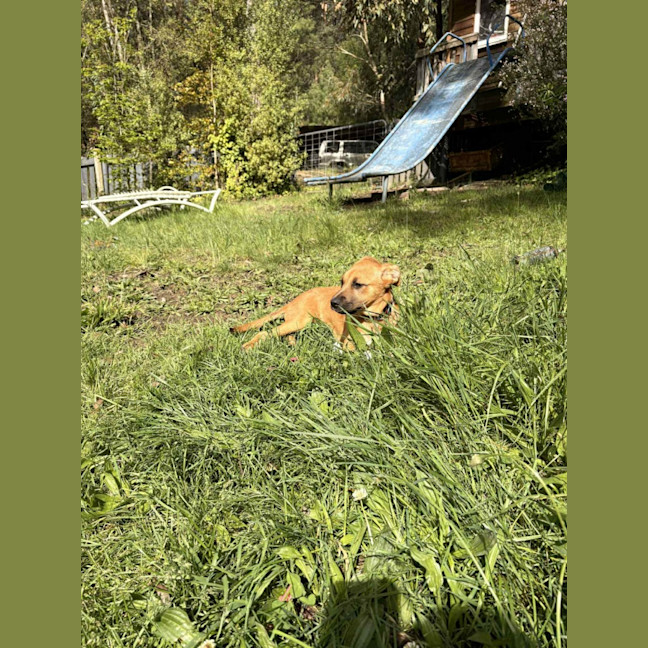 Photo of Gabby