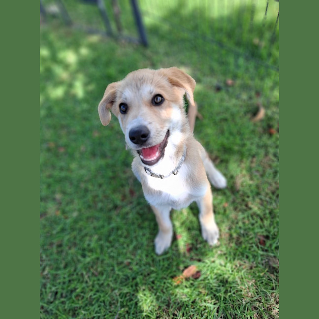 Photo of Zuko
