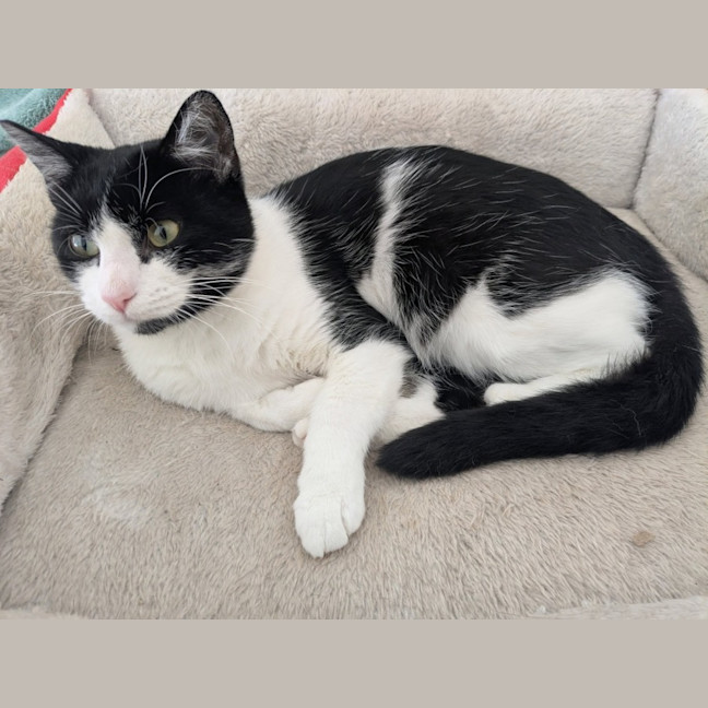 Photo of Mitzi