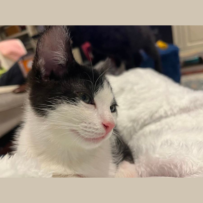 Photo of Maggie