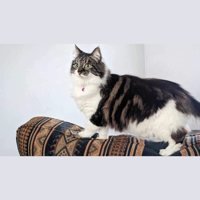 Photo of Jeannie! 😻