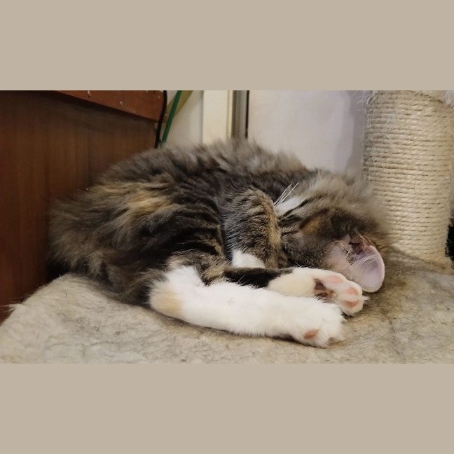 Photo of Clymbeth