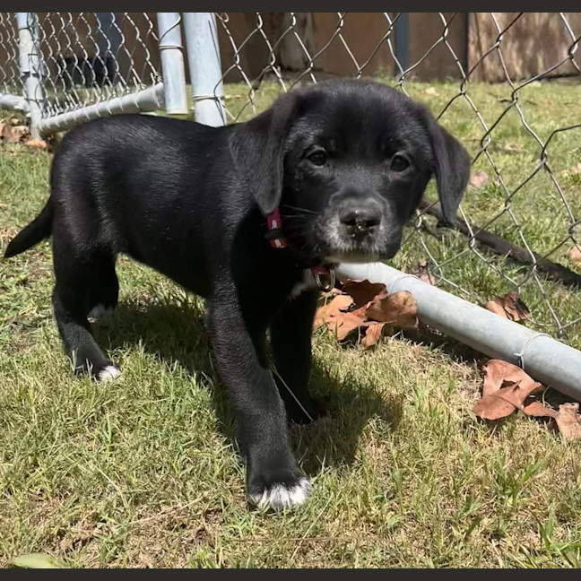 Photo of Tilly