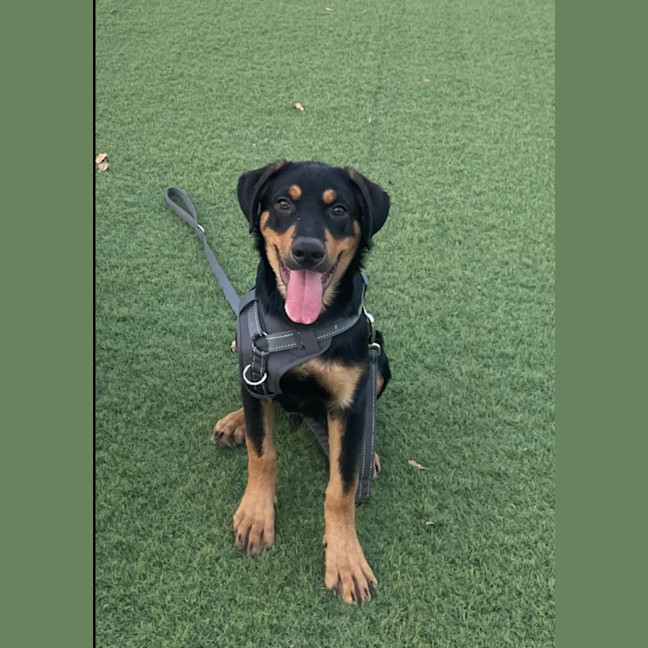 Photo of Diego