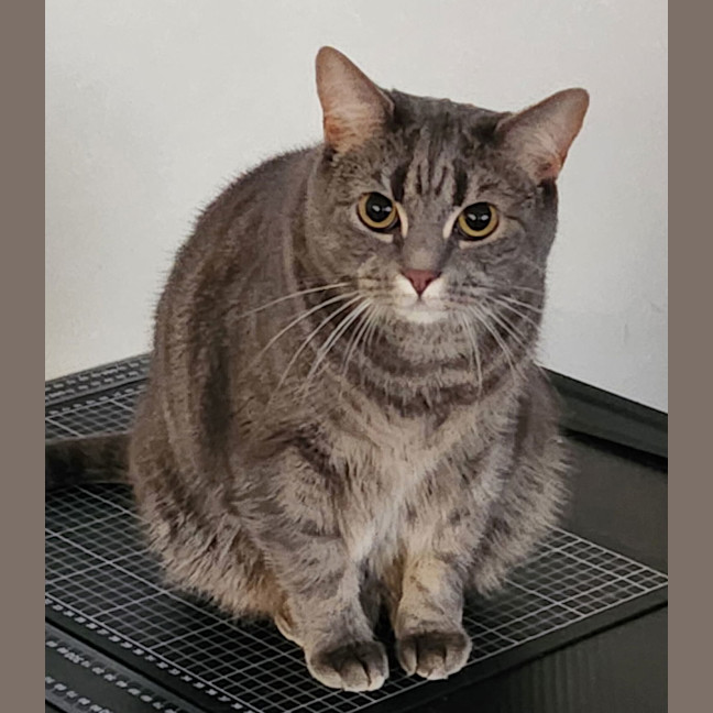 Photo of Luna