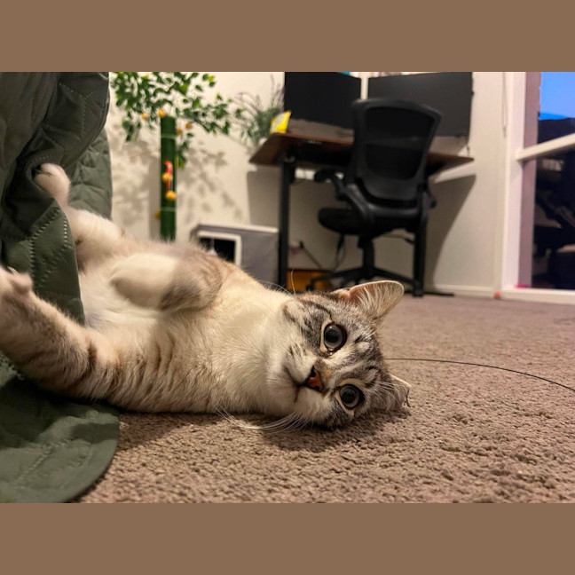 Photo of Gus