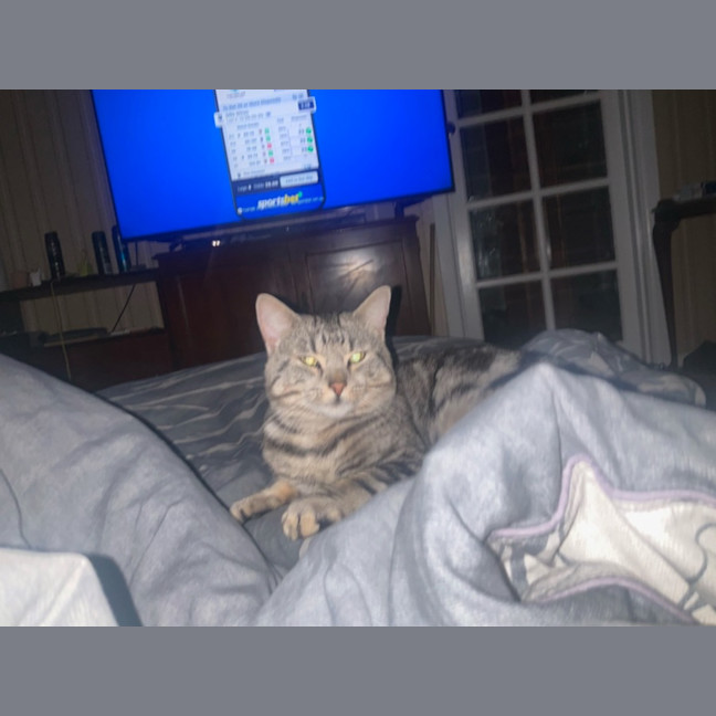 Photo of Larry