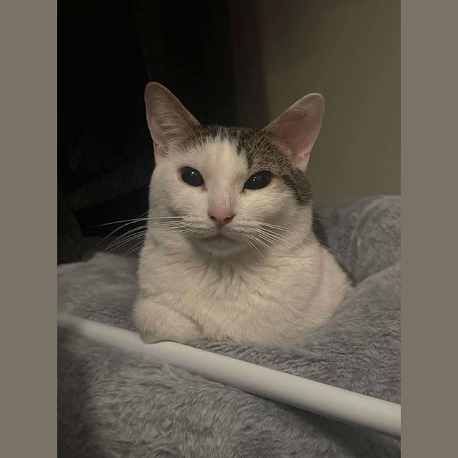 Photo of Smoosh
