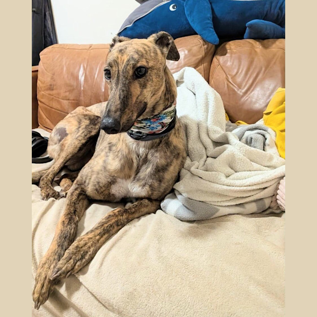 Photo of Faith