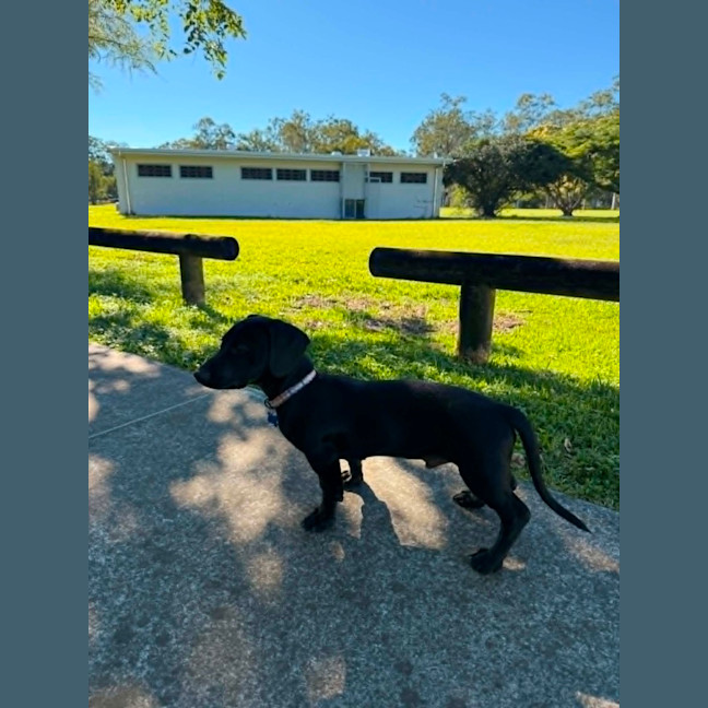 Photo of Maverick 