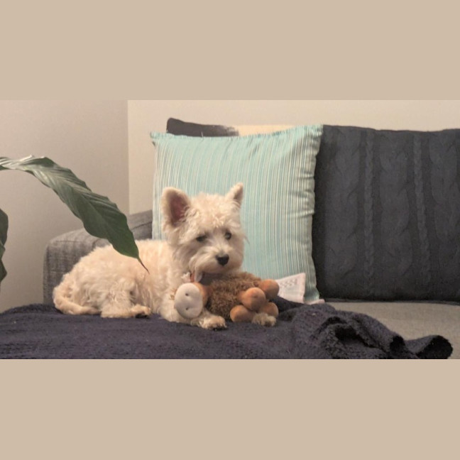 Photo of Lily Peggotty