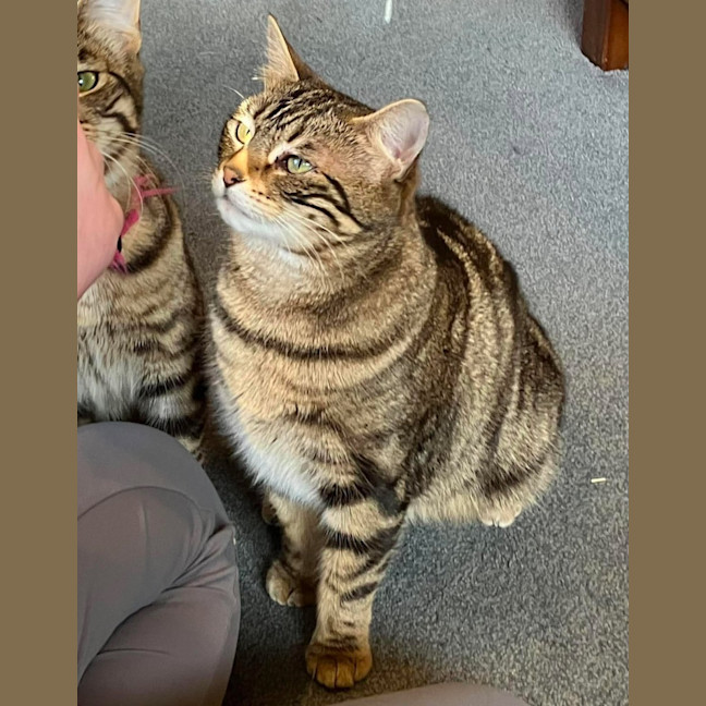 Photo of Sugar