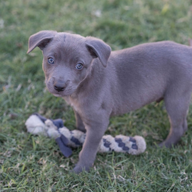 Photo of Storm