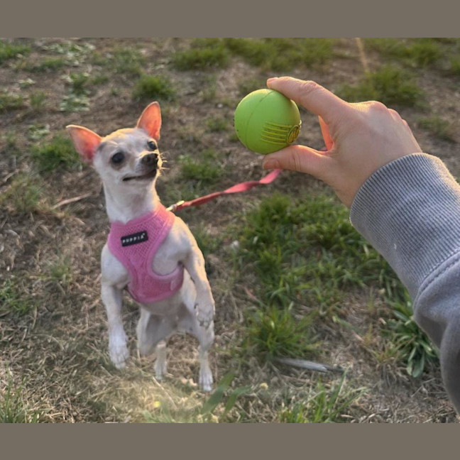 Photo of Holly Silvanus