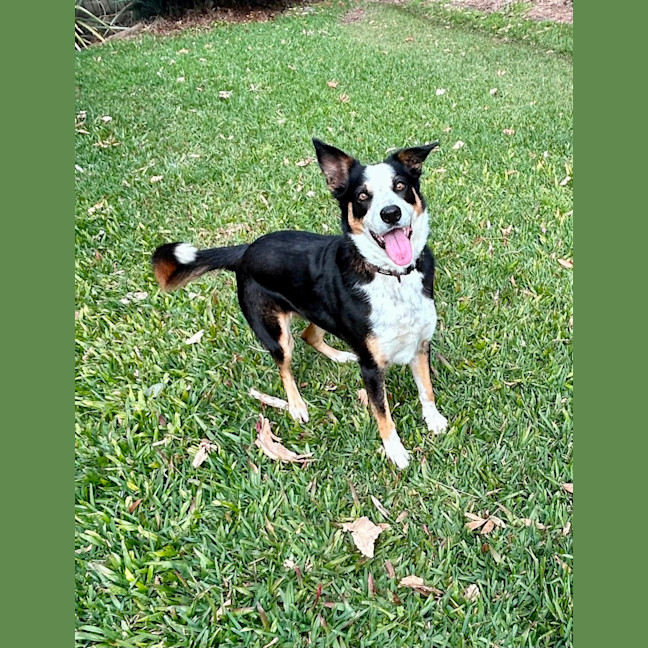 Photo of Arkie