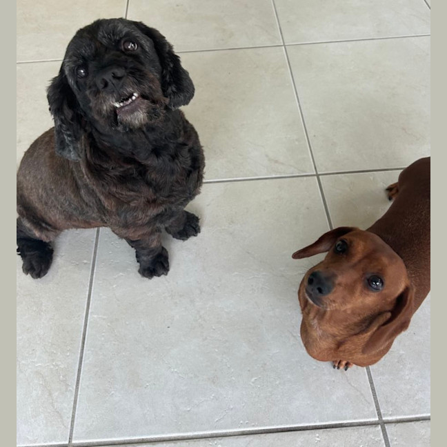 Photo of Lucy And Stanley