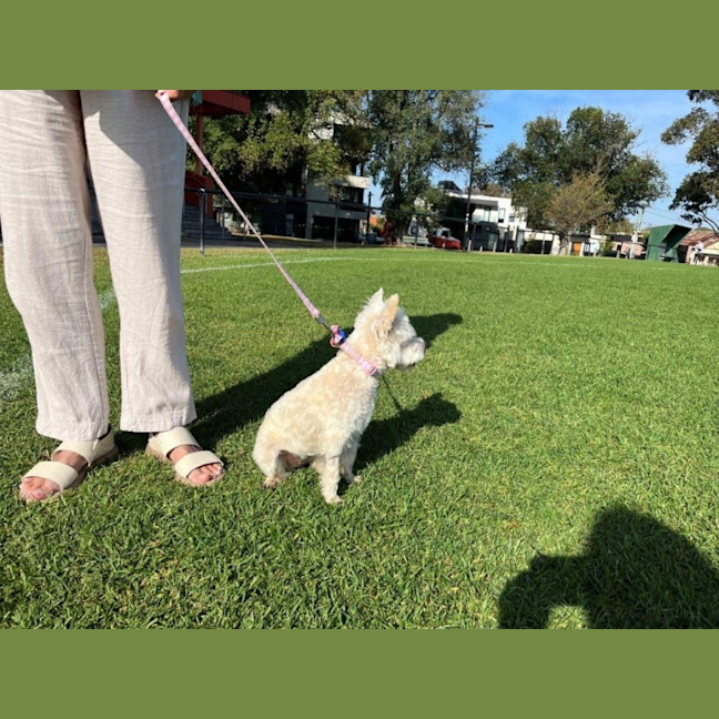 Photo of Lily Peggotty