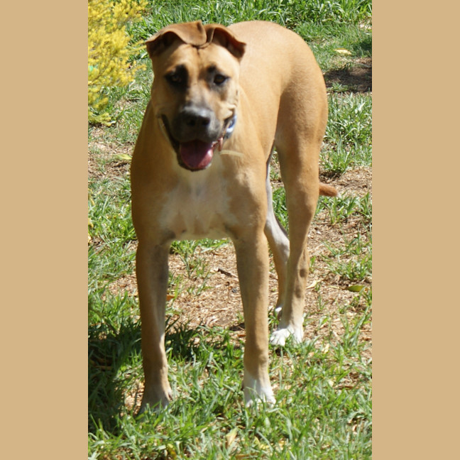 Photo of Lola
