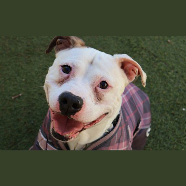 Photo of Tucker