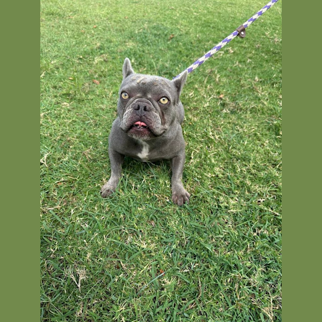Photo of Abigail 