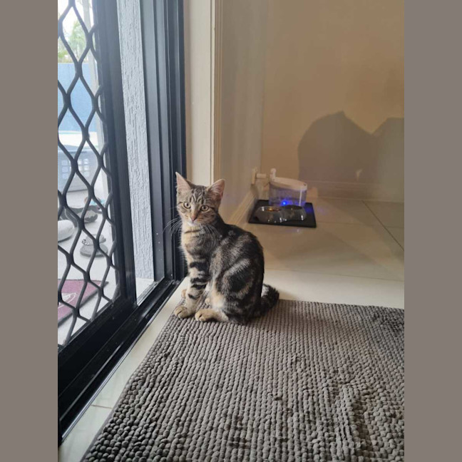 Photo of Axel And Aria