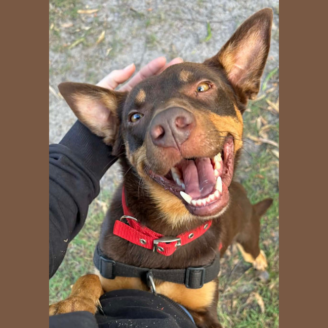 Photo of Chubb