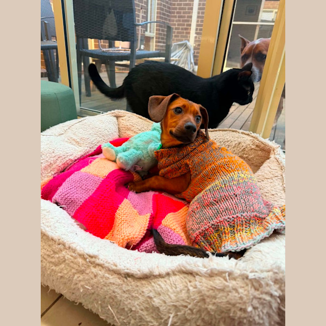 Photo of Coco