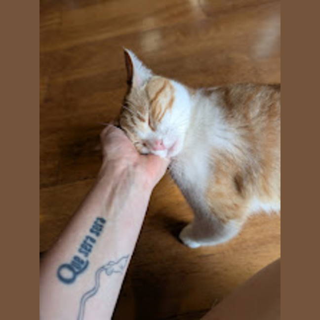 Photo of Charlie 