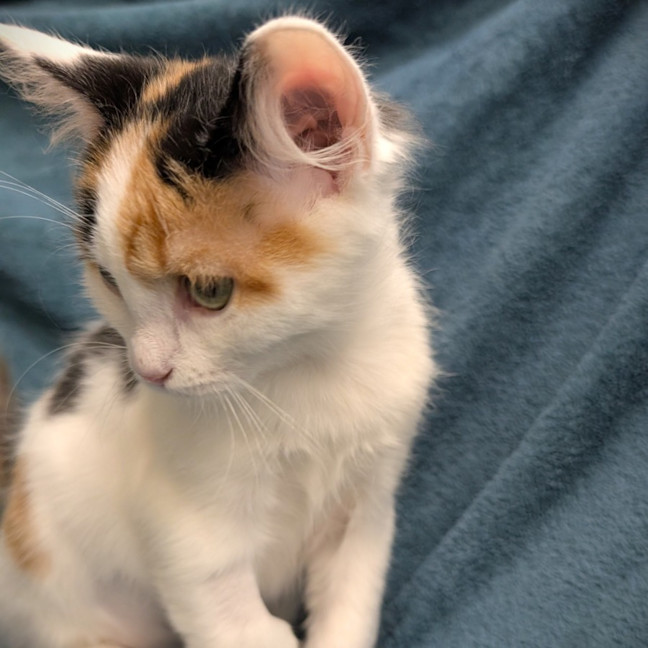 Photo of Baby Stinky