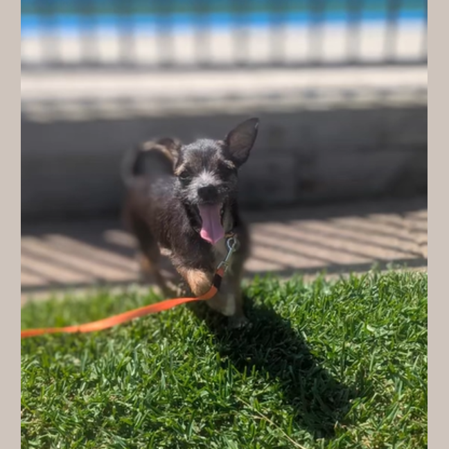 Photo of Bruce