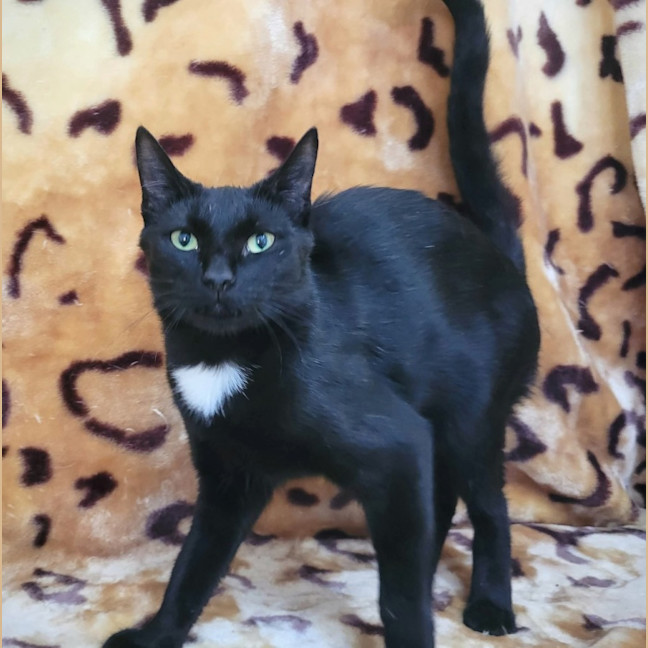 Photo of Kleo