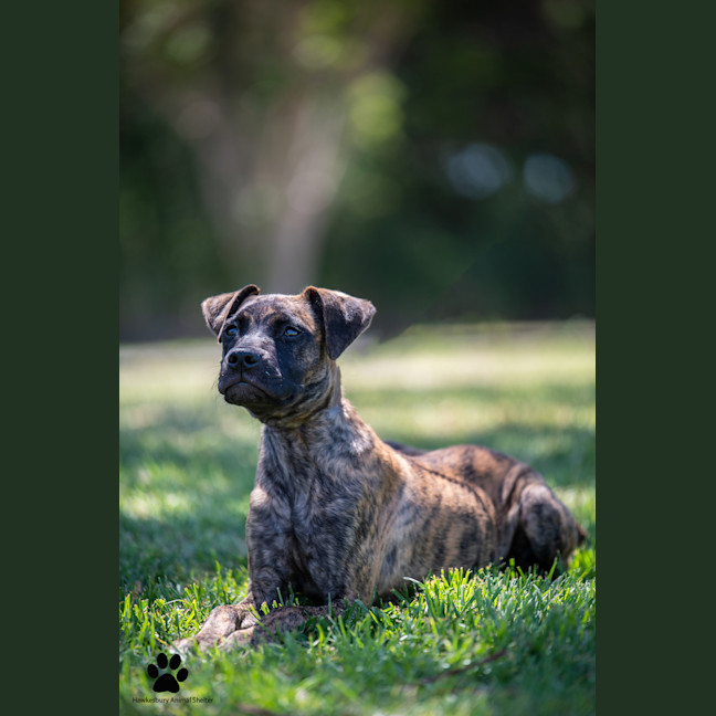 Photo of Maggie