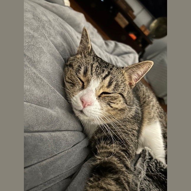 Photo of Reggie