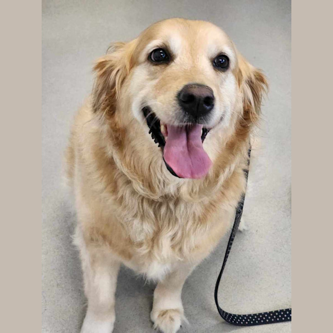 Photo of 🧁 Sally 6057 🧁